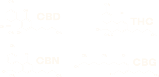 Canabinoides.png